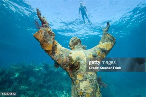 2755 Key Largo Stock Photos High Res Pictures And Images Getty Images