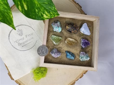 Mini Intuitively Chosen Raw Crystal Set Beginner Crystal Set Etsy