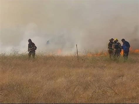 386 Incendios Forestales Se Han Registrado En Esta Temporada 24horas