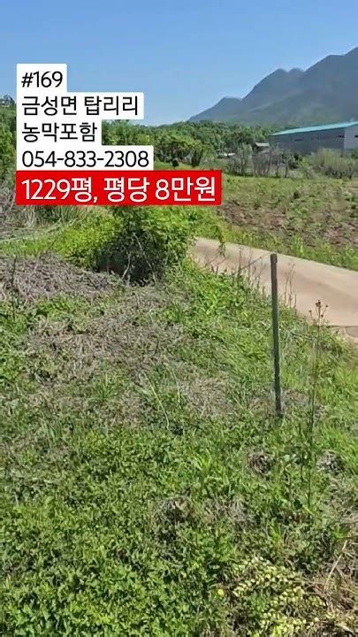 매매완료 매물번호 169 금성면 탑리리 평당 8만원 054 833 2308 의성촌집의성주택경북시골집의성부동산의성땅