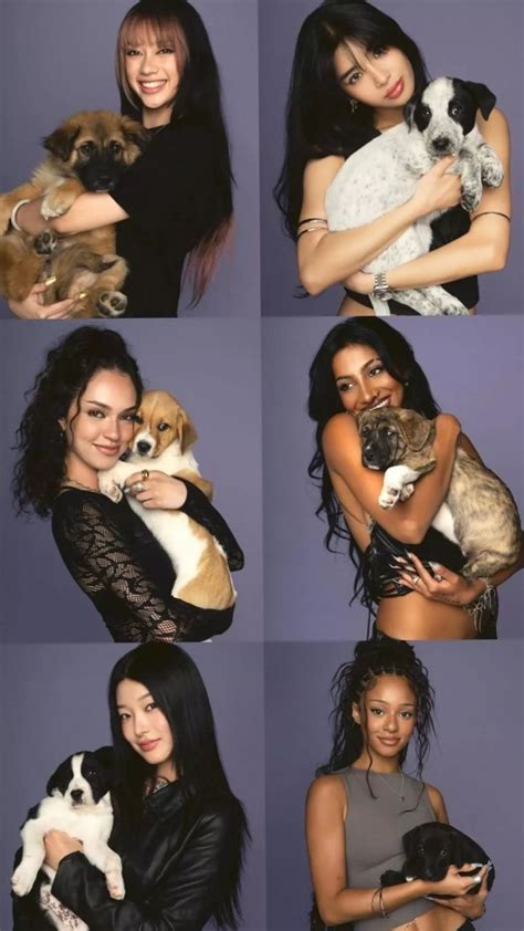 katseye  puppy katy perry  animals katy perry   dogs