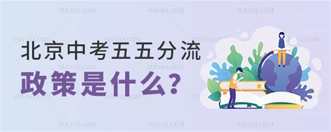 北京中考五五分流政策是什么？2024年中考政策有什么变化？ 育路私立学校招生网