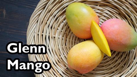 Truly Tropical Mango Varieties Glenn Youtube