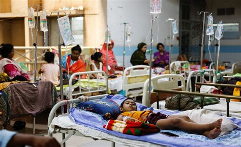 Bangladesh Nearly 1000 People Die Of Dengue In Severe Outbreak