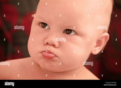 Funny Angry Hi Res Stock Photography And Images Alamy
