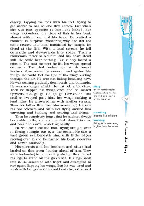 Ncert Book Class 10 English Chapter 3 Two Stories About Flying His First Flight Black