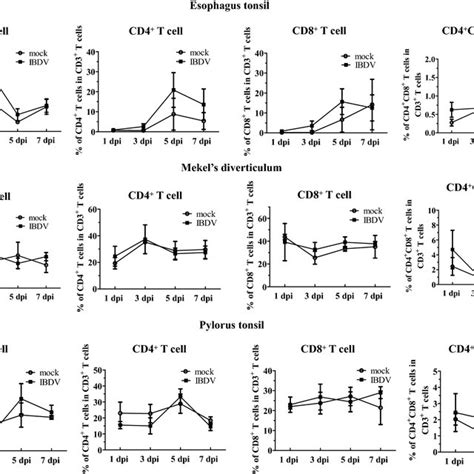 Frequencies Of Cd4⁺ And Cd8⁺ T Cell Subsets Were Not Affected During Download Scientific