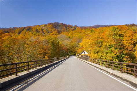 无人横图室外白天正面旅游度假美景秋季树林植物道路路公路日本亚洲阴影朦胧模糊光线木板影子景观桥