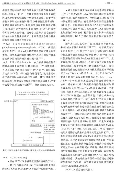 慢性肾脏病合并丙型肝炎病毒感染诊断、治疗和预防的临床实践指南（2023年版） Medscicn