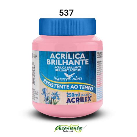 TINTA ACRILICA BRILHANTE 250ML 537 Central Aviamentos