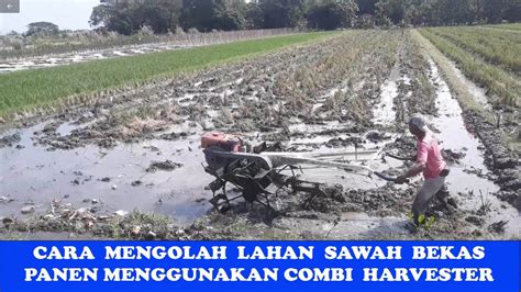 Cara Mengolah Lahan Sawah Menggunakan Traktor Setelah Dipanen