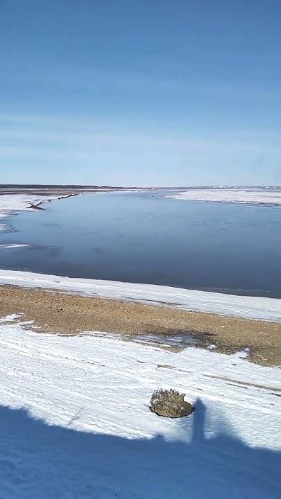 Весенней прохлады в лето#природа#кама#shorts - YouTube