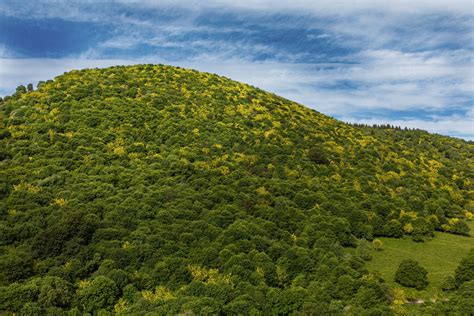 Valle Intelvi alla scoperta della magia della più grande foresta di