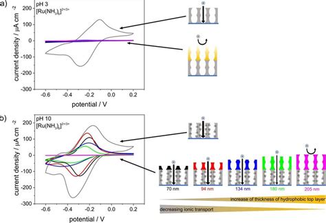 Cyclic Voltammograms Of A Single Layer Mesoporous Silica Film Gray