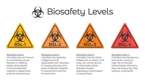 Biosafety Levels Bsl Vector Illustration Infographic Or Laboratory