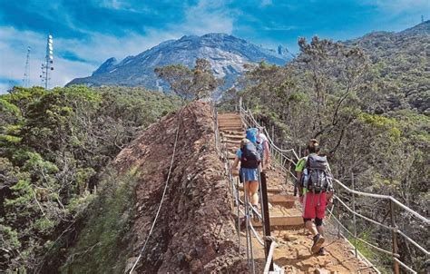 Taman Negara Kinabalu Tour｜키나발루 국립공원 투어 코타로｜ 코타키나발루여행의 시작과 끝 코타키나발루