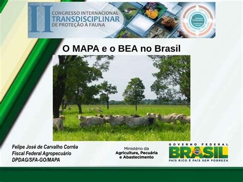 PDF O MAPA E O BEA No Brasil CRMV GO Conselho MAPA E O BEA No