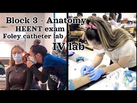 Anatomy Is Hard Midterm Exam HEENT Exam IVs And Foley Catheter