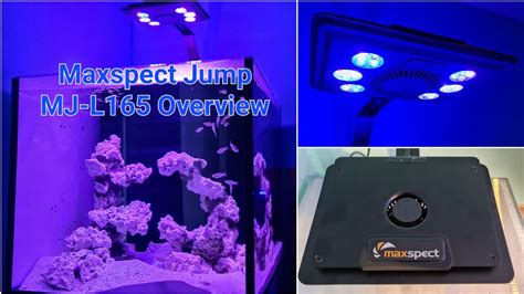 Maxspect Jump Led Mj L165 Overview Budget Reef Light Youtube