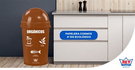 Cómo promover el reciclaje en la escuela REYPLAST