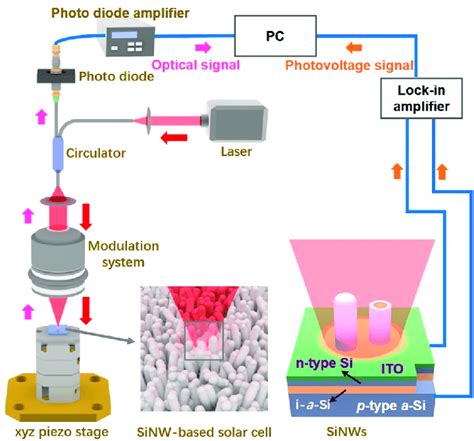 Schematic Illustration Of Laser Excitation Photoelectric Microscopy