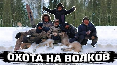 Охота на Волков Добыли трех штук YouTube