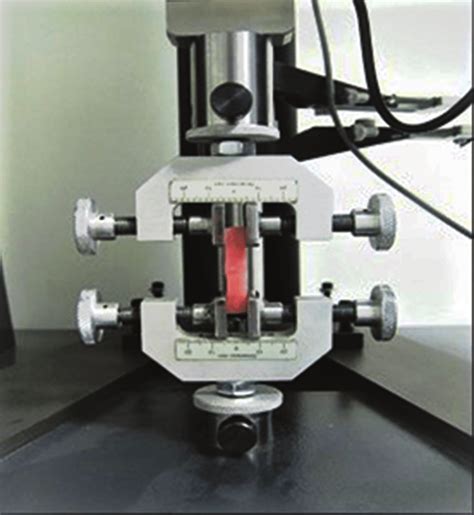 Microtensile Bond Strength Test Using The Universal Testing Machine Download Scientific Diagram