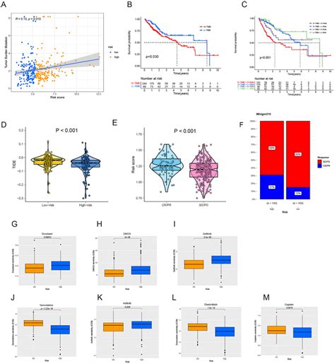 A The Relationship Between The Risk Score And Tmb B Survival Analysis Download Scientific