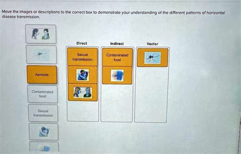 Solved Move The Images Descriptions The Correct Box T Demonstrate