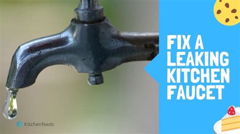 How To Fix A Leaking Kitchen Faucet A Handy Guide Kitchenfeeds