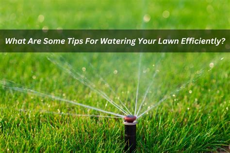 What Are Some Tips For Watering Your Lawn Efficiently