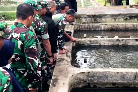 Tingkatkan Ketahanan Pangan Pangdam III Tinjau Balai Benih Ikan