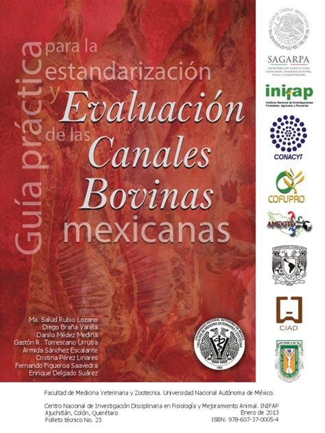 Pdf Gu A Pr Ctica Para La Estandarizaci N Y Evaluaci N De Las Canales