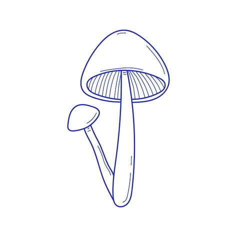 Premium Vector Vector Hand Drawn Two Mushrooms Sketch Isolated On