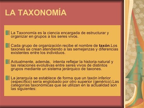 La Taxonomía