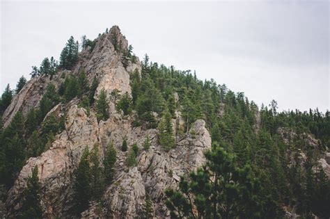 Free Images Tree Nature Rock Wilderness Trail Hill Flower