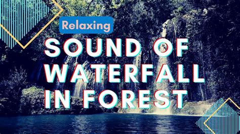 Relaxing Waterfall Sounds For Sleeping Fall Asleep With Forest