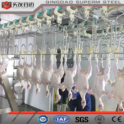 Poultry Slaughter Houses With Complete Chicken Slaughter Machine For