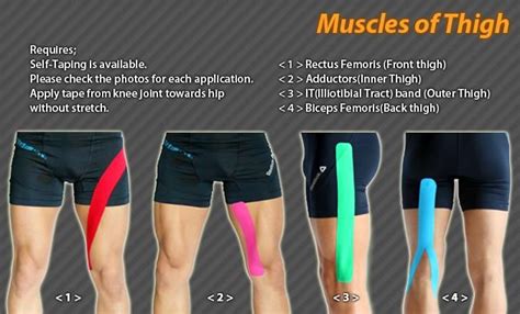 Muscle of Thigh #Ares #Tape #Taping #Kinesiology | Kinesiology taping ...