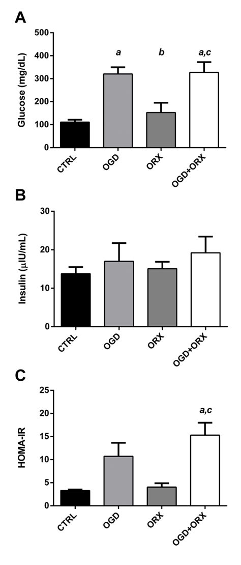 5 Homeostatic Model Assessment Of Insulin Resistance Homa Ir A