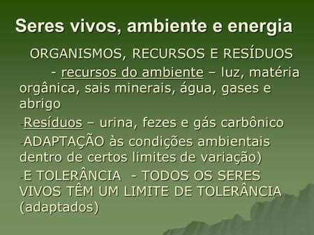 Fluxo De Energia Ppt Carregar