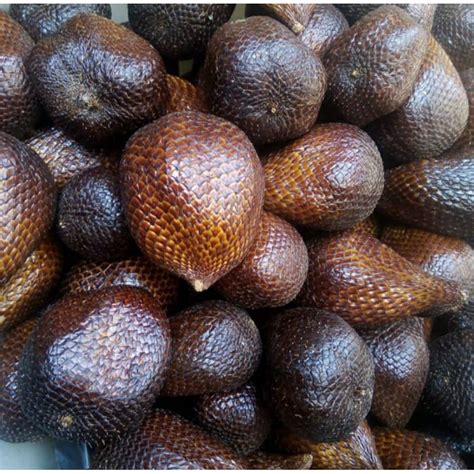 Jual BUAH SALAK SEGAR 1KG SALAK SEGAR DALAK PONDOH Shopee Indonesia