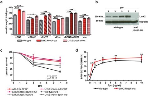 Effect Of Different Growth Factors On Neurite Outgrowth And Cell