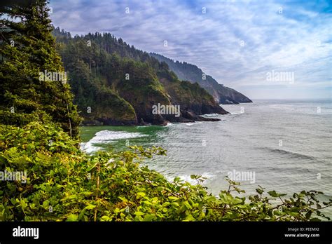 Heceta Head Lighthouse State Park Scenic Viewpoint In Florence Oregon