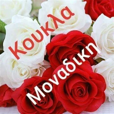 There Are Many Red And White Roses With The Words Koukka Movookk