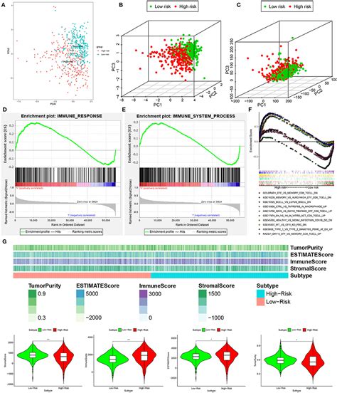 Frontiers Long Non Coding Rna Profile Study Identifies An Immune