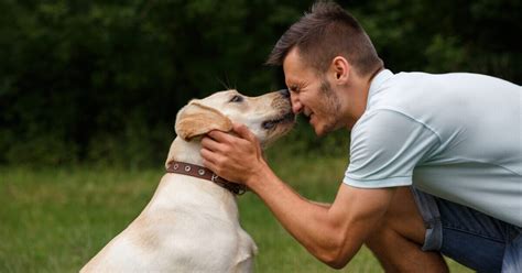 20 Dog Breeds That Give The Most Kisses