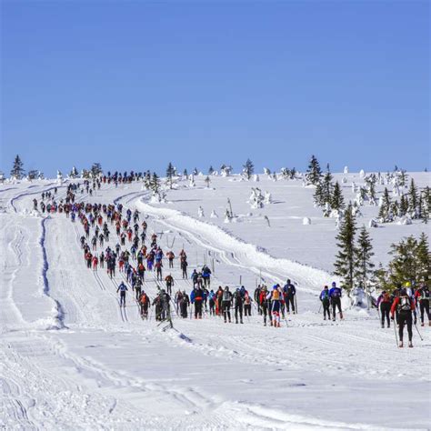 Birken Ski