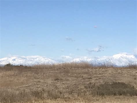 Thoughts on starting graduate school in a pandemic – strong-minded and