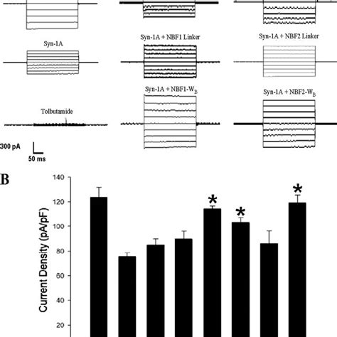 Syntaxin A Inhibits Rat Pancreatic Islet Cell K Atp Channel Activity